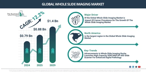 Global whole slide imaging Market