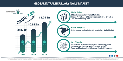 Global intramedullary nails Market