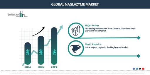 Unlocking the Future of the Naglazyme Market: Growth Rate, Key Trends, and Opportunities for 2025-2034