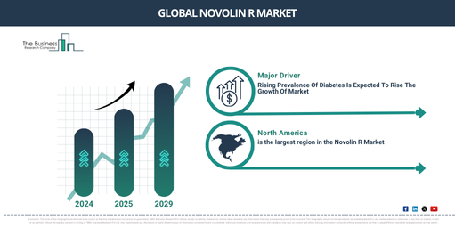 Novolin R Market Insights 2025-2034: Growth Dynamics, Trends, and Strategic Opportunities