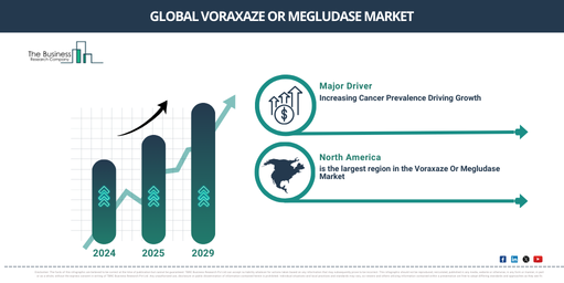 Global voraxaze or megludase Market