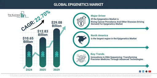 Global Epigenetics Market