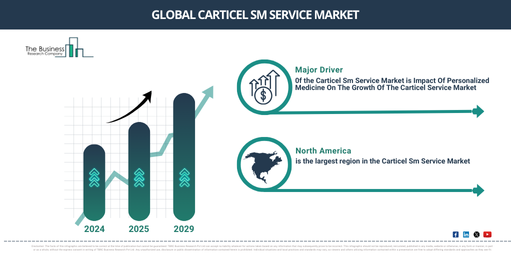 Global Carticel Sm Service Market