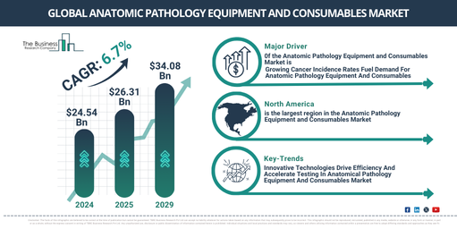 Key Trends and Insights into the Anatomic Pathology Equipment and Consumables Market: Growth Rate and Opportunities to 2034