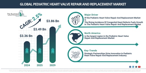 Top Growth Trends in the Pediatric Heart Valve Repair And Replacement Market: Key Insights and Opportunities for 2025-2034