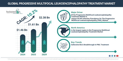 Global Progressive Multifocal Leukoencephalopathy Treatment Market