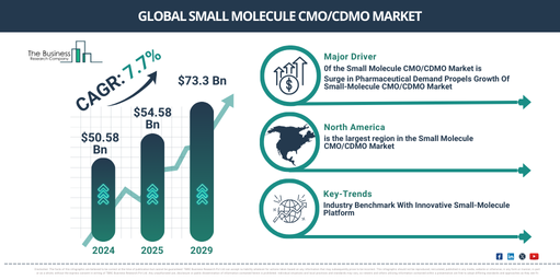 How is the Small Molecule CMO/CDMO Market Poised for Growth: Trends and Opportunities Through 2034