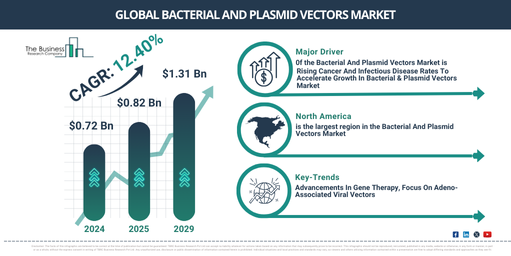 In-Depth Insights into the Bacterial And Plasmid Vectors Market: Growth, Trends, and Opportunities for 2025-2034