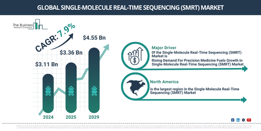Comprehensive Analysis of the Single-Molecule Real-Time Sequencing (SMRT) Market 2025-2034: Growth Rates, Trends, and Future Opportunities