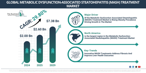 Metabolic Dysfunction-Associated Steatohepatitis (MASH) Treatment Market Insights 2025-2034: Growth Dynamics, Trends, and Strategic Opportunities