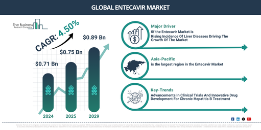 Key Highlights of the Entecavir Market 2025-2034: Growth Dynamics, Trends, and Opportunities
