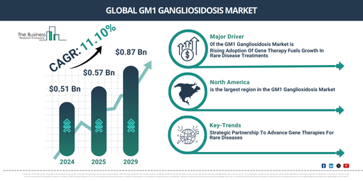 GM1 Gangliosidosis Market Insights 2025-2034: Growth Dynamics, Trends, and Strategic Opportunities