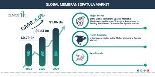 Global Membrane Spatula Market