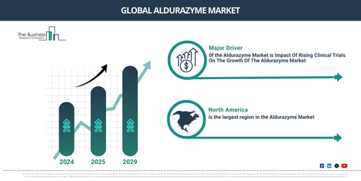 Aldurazyme Market Insights: In-Depth Look at Growth Trends, Market Size, and Opportunities for 2025-2034