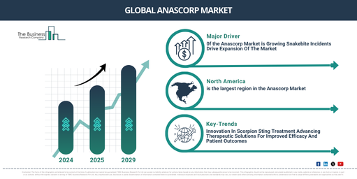 Global Anascorp Market