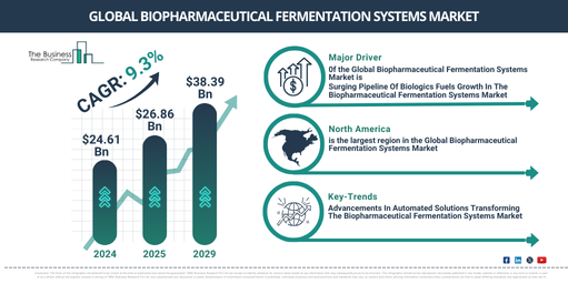 Global Biopharmaceutical Fermentation Systems Market