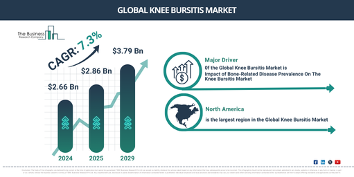 Global Knee Bursitis Market