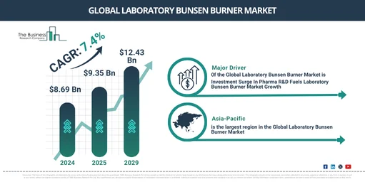 Global Laboratory Bunsen Burner Market