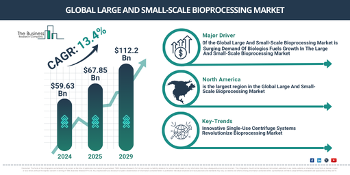 Global Large And Small-Scale Bioprocessing Market