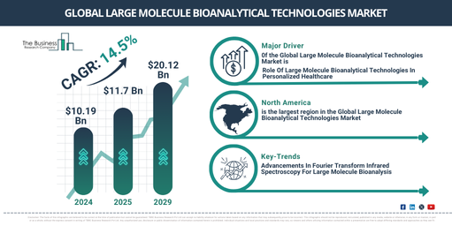 Global Large Molecule Bioanalytical Technologies Market