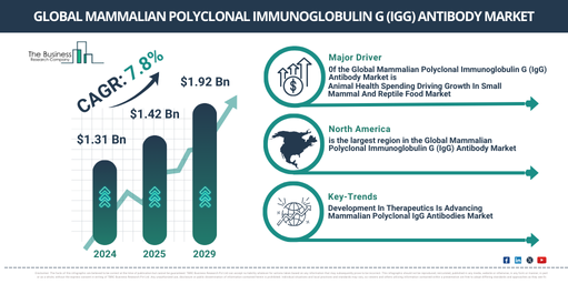 Global Mammalian Polyclonal Immunoglobulin G (IgG) Antibody Market