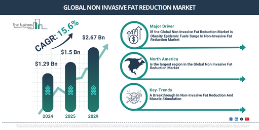 Global Non Invasive Fat Reduction Market