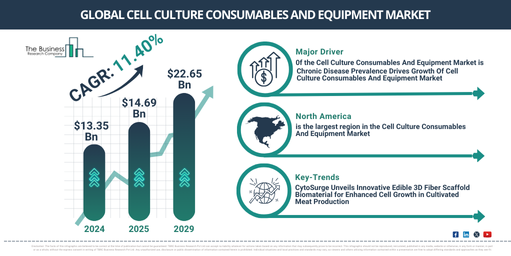 Global Cell Culture Consumables And Equipment Market