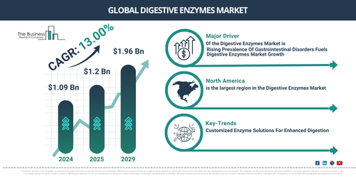 Digestive Enzymes Market Forecast 2025-2034: Growth Dynamics, Emerging Trends, and Strategic Opportunities