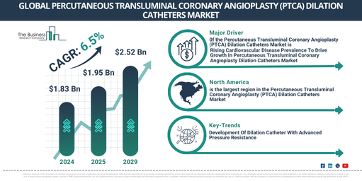 Global Percutaneous Transluminal Coronary Angioplasty (PTCA) Dilation Catheters Market