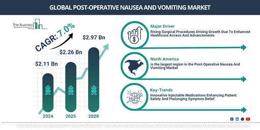 Global Post-Operative Nausea And Vomiting Global Market Report 2025 Market