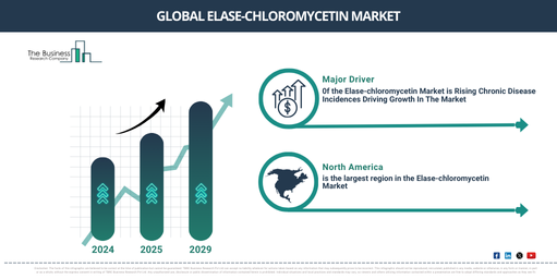 Global Elase-chloromycetin Global Market Report 2025 Market