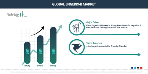 Global Engerix-B Global Market Report 2025 Market