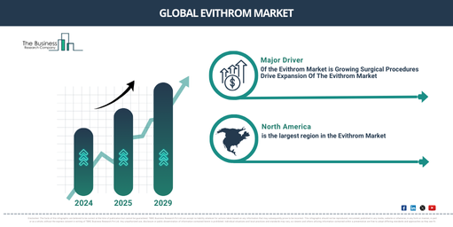 Global Evithrom Global Market Report 2025 Market