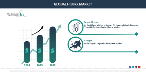 Global Hiberx Global Market Report 2025 Market