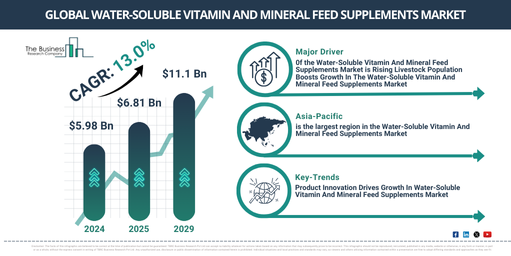 Global Water-Soluble Vitamin And Mineral Feed Supplements Market