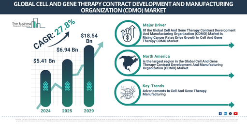 Global Cell And Gene Therapy Contract Development And Manufacturing Organization (CDMO) Market