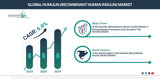 Global Humulin (Recombinant Human Insulin) Global Market Report 2025 Market