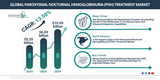 Global Paroxysmal Nocturnal Hemoglobinuria (PNH) Treatment Market