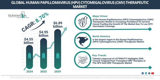 Major Drivers Propelling the Growth oh the Human Papillomavirus (HPV) Cytomegalovirus (CMV) Therapeutic Market Forward: Increasing Prevalence Of Cervical Cancer Fuelling the Growth Of The Market Due To Low HPV Vaccination Coverage