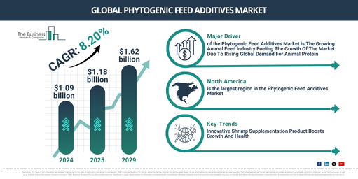 Phytogenic Feed AdditivesMarket Overview 2025–2034: CAGR Trends, Long-Term Growth Paths, and Business Implications