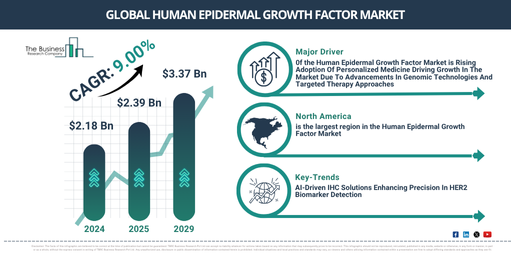 Human Epidermal Growth Factor Market Outlook 2025 – Insights for Executive and Strategic Planning