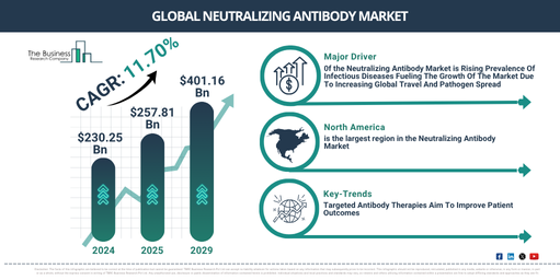 Neutralizing Antibody Market to Reach $401.16 Billion by 2029 | Key Drivers and Future Outlook