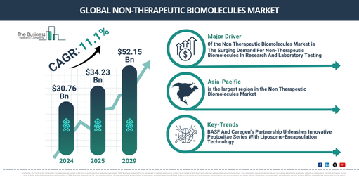 Non-Therapeutic Biomolecules Industry Growth Expected to Reach $52.15 Billion by 2029 at a CAGR of 11.1% | Segmentation and Growth Opportunities