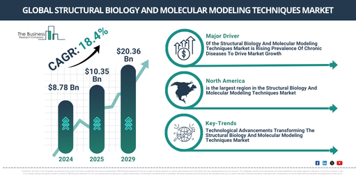 Structural Biology And Molecular Modeling Techniques Market Outlook 2025 – Insights for Executive and Strategic Planning