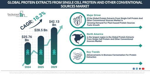 Global Protein Extracts From Single Cell Protein And Other Conventional Sources Market