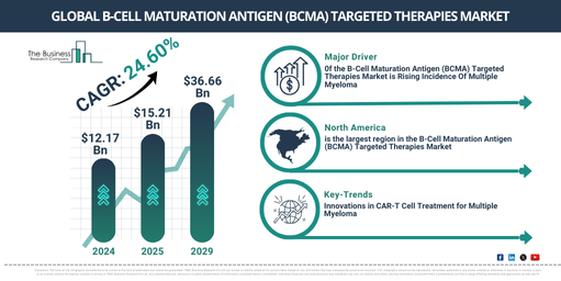 B-Cell Maturation Antigen (BCMA) Targeted Therapies  Industry Growth Expected to Reach $36.66 Billion by 2029 at a CAGR of 24.6% | Segmentation and Growth Opportunities