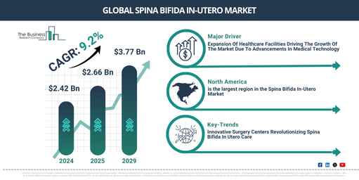 Spina Bifida In-Utero Market Size to Exceed $3.77 Billion by 2029 | Growth and Industry Trends