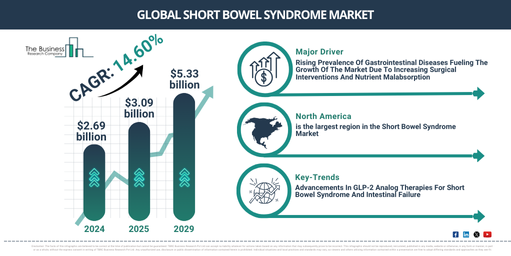 Short Bowel Syndrome Market Projected at $5.33 Billion by 2029 | Strategic Insights and Forecast Data