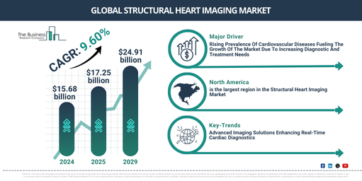 Structural Heart Imaging Market Size to Exceed $24.9 Billion by 2029 | Growth and Industry Trends