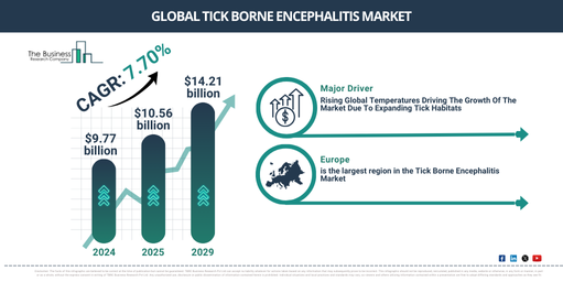 Tick Borne Encephalitis Forecast Report – Designed for Decision Makers and Product Teams